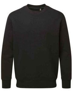 Anthem Organic Sweatshirt