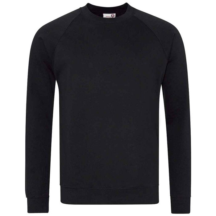 AWDis Academy Senior Raglan Sweatshirt main product photo