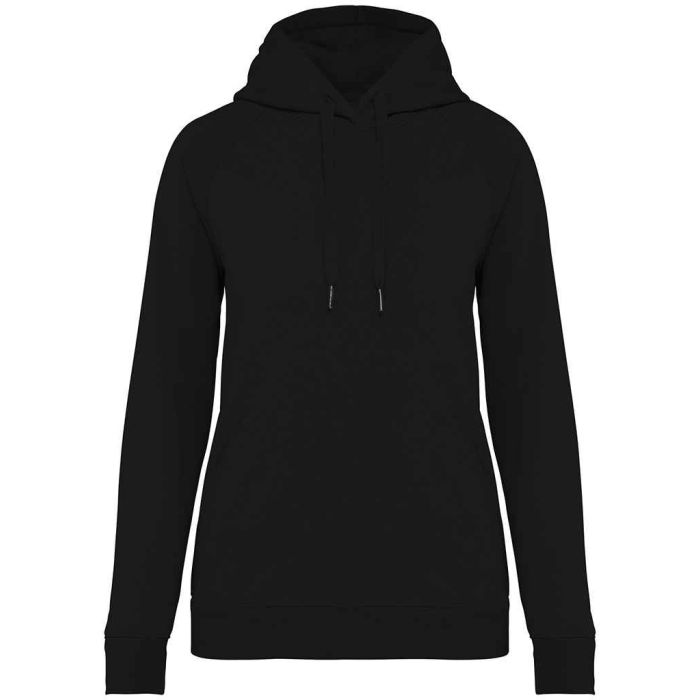 Native Spirit Ladies Raglan Sleeve Hoodie main product photo