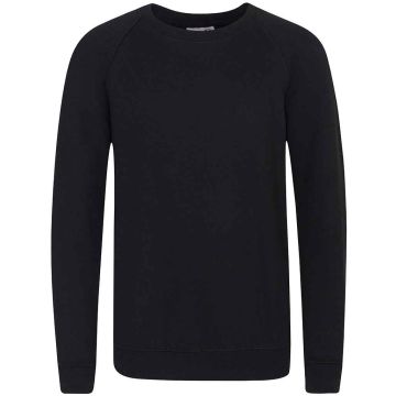 AWDis Academy Kids Raglan Sweatshirt